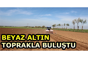 Beyaz Altın Toprakla Buluştu