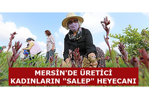 Mersin`de Üretici Kadınların `Salep` Heyecanı