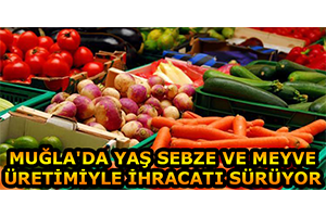 Muğla`da Yaş Sebze ve Meyve Üretimiyle İhracatı Sürüyor