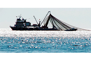 Türk Balıkçılara Uluslararası Sularda Da İndirimli Akaryakıt İmkanı