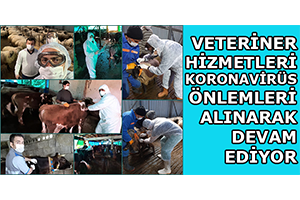 Veteriner Hizmetleri Koronavirüs Önlemleri Alınarak Devam Ediyor