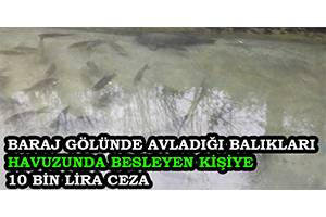 Baraj Gölünde Avladığı Balıkları Havuzunda Besleyen Kişiye 10 Bin Lira Ceza
