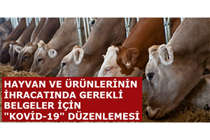 Hayvan ve Ürünlerinin İhracatında Gerekli Belgeler İçin `Kovid-19` Düzenlemesi