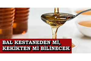 Bal Kestaneden Mi, Kekikten Mi Bilinecek
