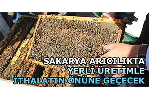Sakarya Arıcılıkta Yerli Üretimle İthalatın Önüne Geçecek