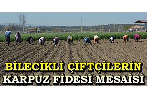 Bilecikli Çiftçilerin Karpuz Fidesi Mesaisi