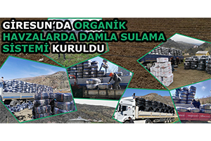 Giresun`da Organik Havzalarda Damla Sulama Sistemi Kuruldu