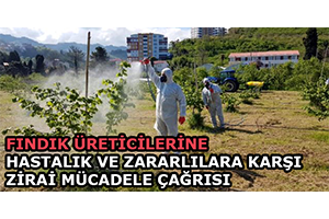 Fındık Üreticilerine Hastalık ve Zararlılara Karşı Zirai Mücadele Çağrısı