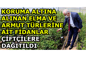 Koruma Altına Alınan Elma ve Armut Türlerine Ait Fidanlar Çiftçilere Dağıtıldı