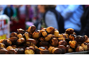 İhracatı Son 5 Yılda Yüzde 140 Arttı