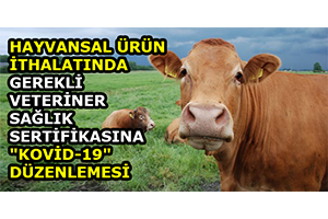 Hayvansal Ürün İthalatında Gerekli Veteriner Sağlık Sertifikasına `Kovid-19` Düzenlemesi