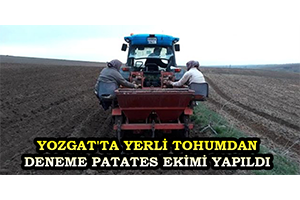 Yozgat`ta Yerli Tohumdan Deneme Patates Ekimi Yapıldı
