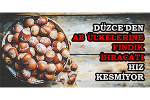 Düzce`den AB Ülkelerine Fındık İhracatı Hız Kesmiyor