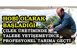 Hobi Olarak Başladığı Çilek Üretiminde Talebe Yetişemeyince Profesyonel Tarıma Geçti