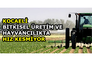 Kocaeli Bitkisel Üretim ve Hayvancılıkta Hız Kesmiyor