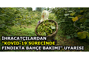 İhracatçılardan `Kovid-19 Sürecinde Fındıkta Bahçe Bakımı` Uyarısı