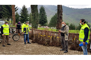 Ordu`da Üreticiler, Fındığın Yanında Kestaneyle Ek Gelir Sağlayacak