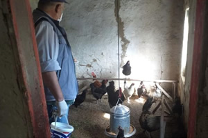 CİMER`e Talep Etti, Karantina Bölgesindeki Hayvanlarının Yemlenmesini Sağladı