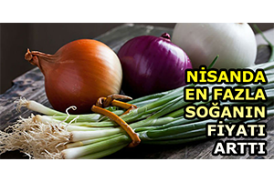 Nisanda En Fazla Soğanın Fiyatı Arttı