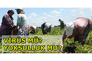 Virüs mü? Yoksulluk mu?