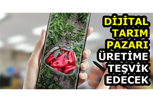 Dijital Tarım Pazarı Üretime Teşvik Edecek