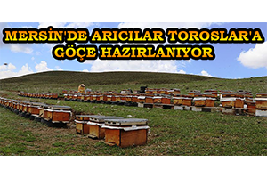 Mersin`de Arıcılar Toroslar`a Göçe Hazırlanıyor