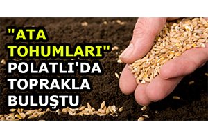`Ata Tohumları` Polatlı`da Toprakla Buluştu