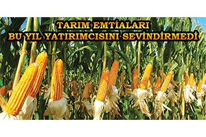 Tarım Emtiaları Bu Yıl Yatırımcısını Sevindirmedi