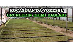 Kocasinan`da Yöresel Ürünlerin Ekimi Başladı