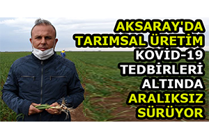 Aksaray`da Tarımsal Üretim Kovid-19 Tedbirleri Altında Aralıksız Sürüyor