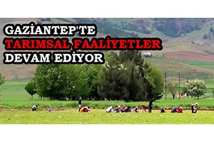 Gaziantep`te Tarımsal Faaliyetler Devam Ediyor