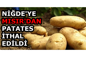 Niğde`ye Mısır`dan Patates İthal Edildi