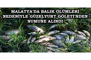 Malatya`da Balık Ölümleri Nedeniyle Güzelyurt Göleti`nden Numune Alındı