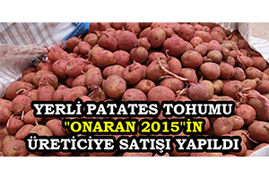 Yerli Patates Tohumu `Onaran 2015`in Üreticiye Satışı Yapıldı