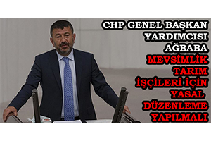 CHP Genel Başkan Yardımcısı Ağbaba: Mevsimlik Tarım İşçileri İçin Yasal Düzenleme Yapılmalı