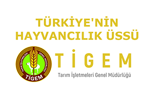 Türkiye`nin Hayvancılık Üssü: TİGEM
