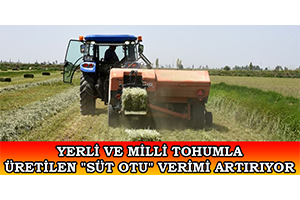 Yerli Ve Milli Tohumla Üretilen `Süt Otu` Verimi Artırıyor
