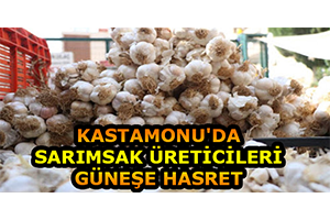 Kastamonu`da Sarımsak Üreticileri Güneşe Hasret