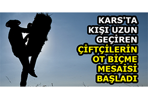 Kars`ta Kışı Uzun Geçiren Çiftçilerin Ot Biçme Mesaisi Başladı