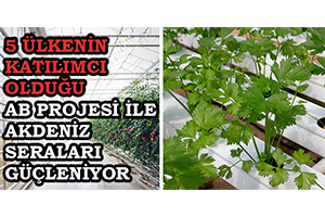 5 ÜLKENİN KATILIMCI OLDUĞU AB PROJESİ İLE AKDENİZ SERALARI GÜÇLENİYOR