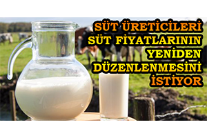 Süt Üreticileri Süt Fiyatlarının Yeniden Düzenlenmesini İstiyor