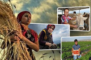 BAKAN PAKDEMİRLİ` DEN HİBE MÜJDESİ