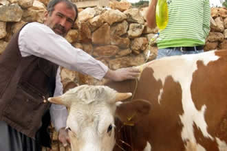 Üçgün Hastalığına Dikkat