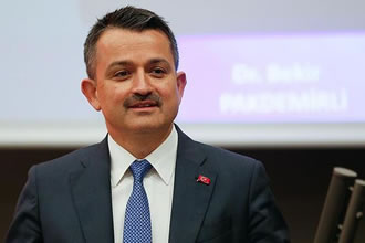 Bakanlıktan Zeytin Ödemesi Açıklaması