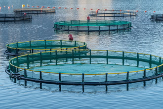 Su Alanlarının Kiralanmasına Düzenleme