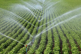 Modern Sulama Ekonomiye Katkı Sağladı