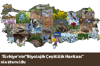 `Biyolojik Çeşitlilik Haritası` oluşturuldu