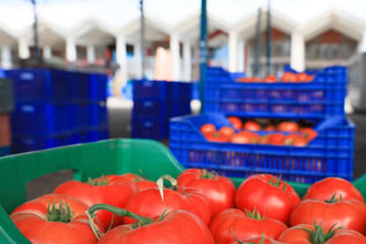 Rusya`nın Domates Kotası TBMM`de