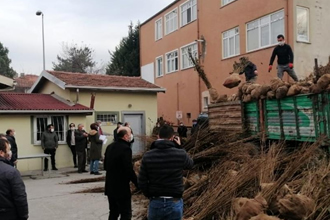 Çaycuma`da Çiftçilere Fidan Dağıtıldı