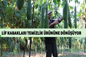 Lif Kabakları Temizlik Ürününe Dönüşüyor